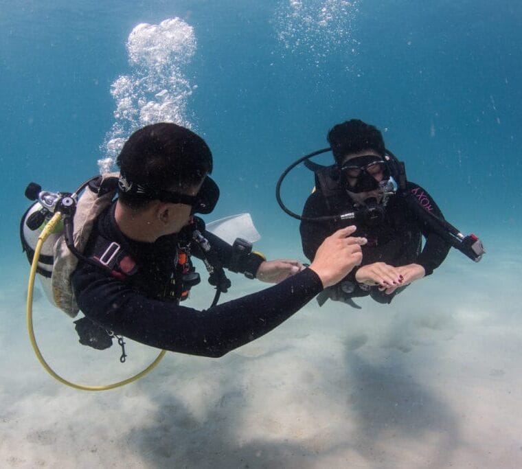 Bigbubble 2 1024x683 min